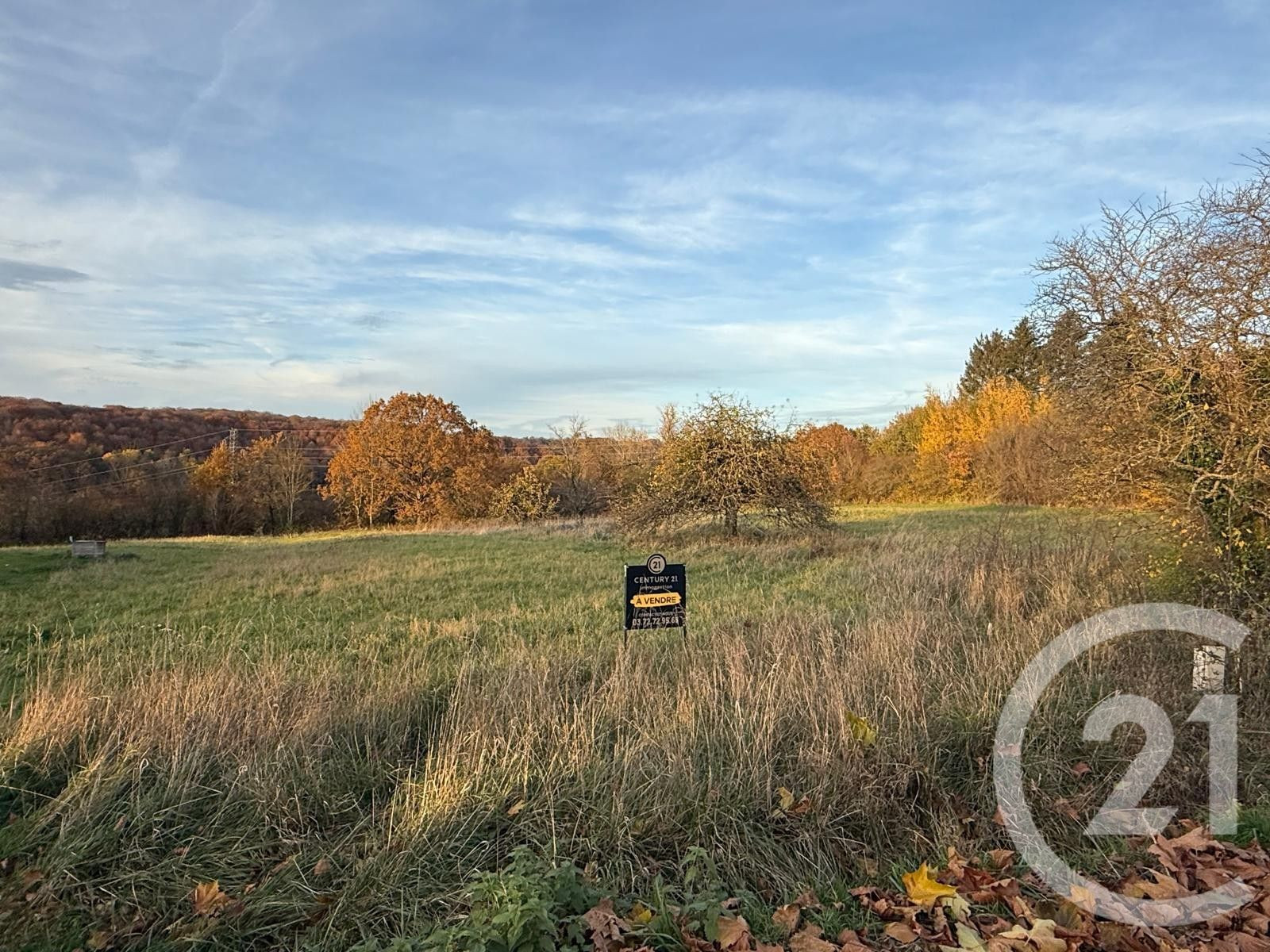 
                                                Vente
                                                 terrain