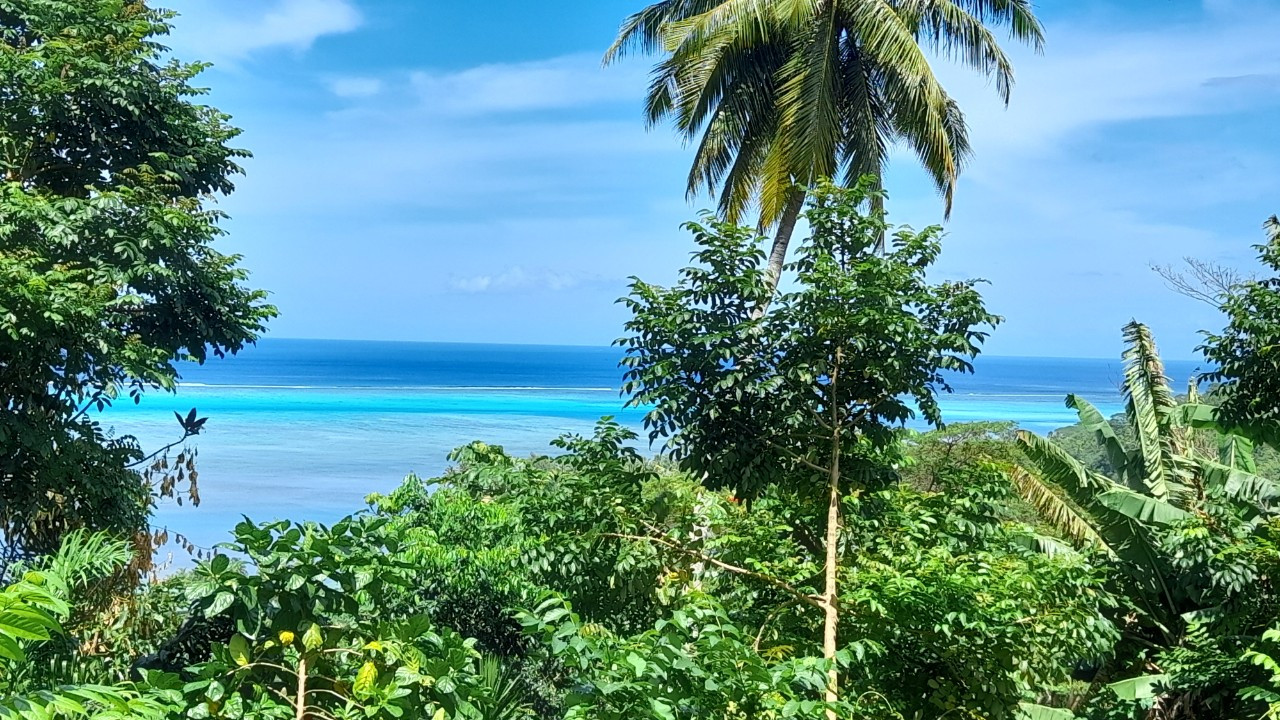 
                                                Vente
                                                 Terrain à batir à Moorea