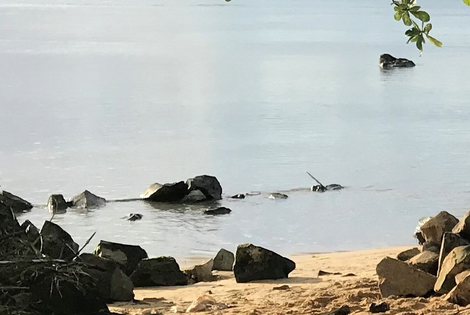 
                                                Vente
                                                 Terrain à l'île Sainte-Marie