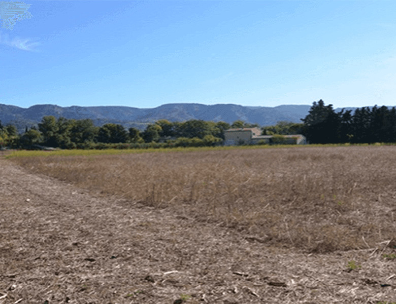 
                                                Vente
                                                 Terrain à vendre à vocation hôtelière de 18.500 m² divisible à partir de 9000 m² proche d'Avignon en Provence dans le Vaucluse