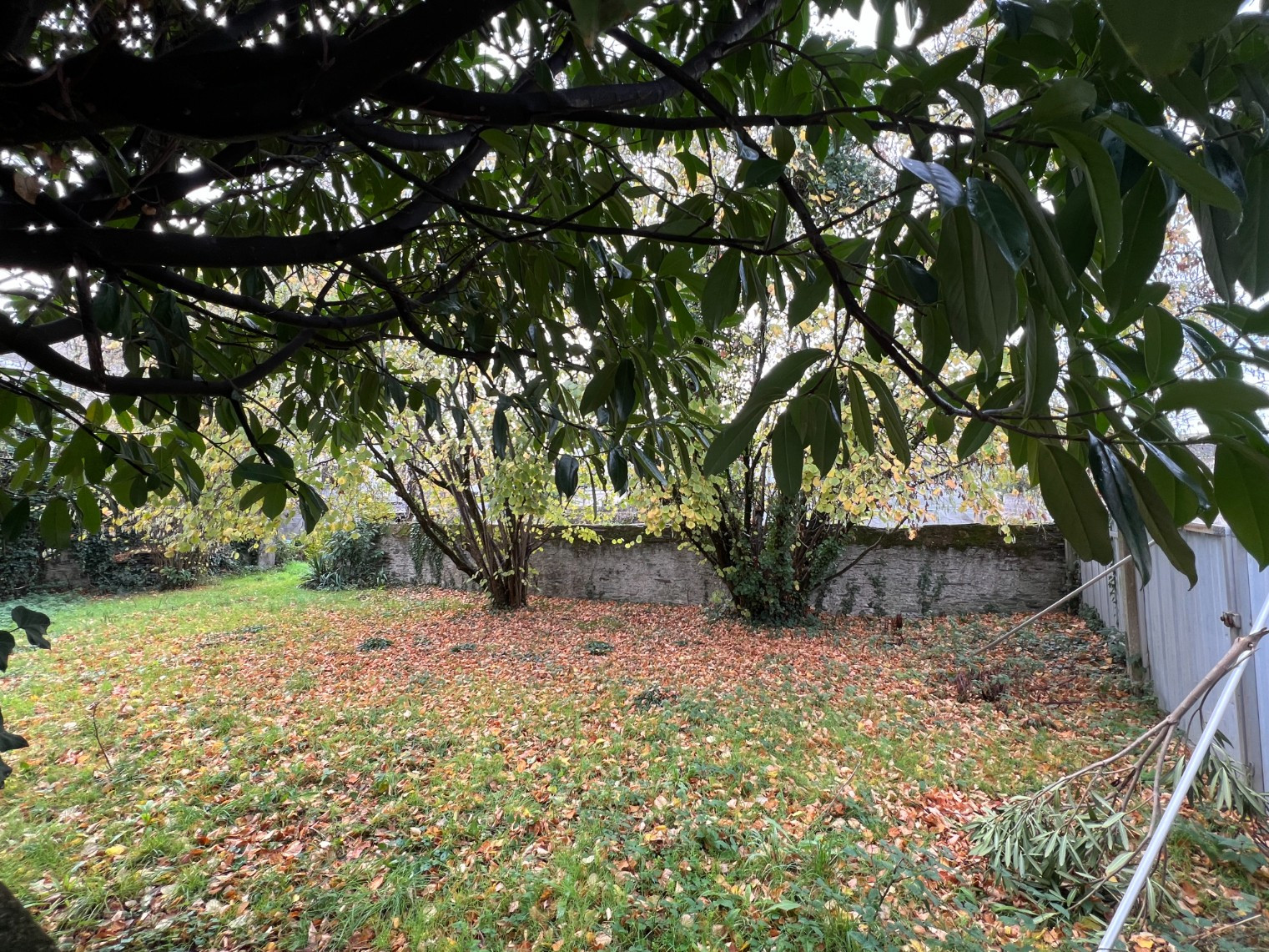 
                                                Vente
                                                 Terrain à viabiliser - Angers