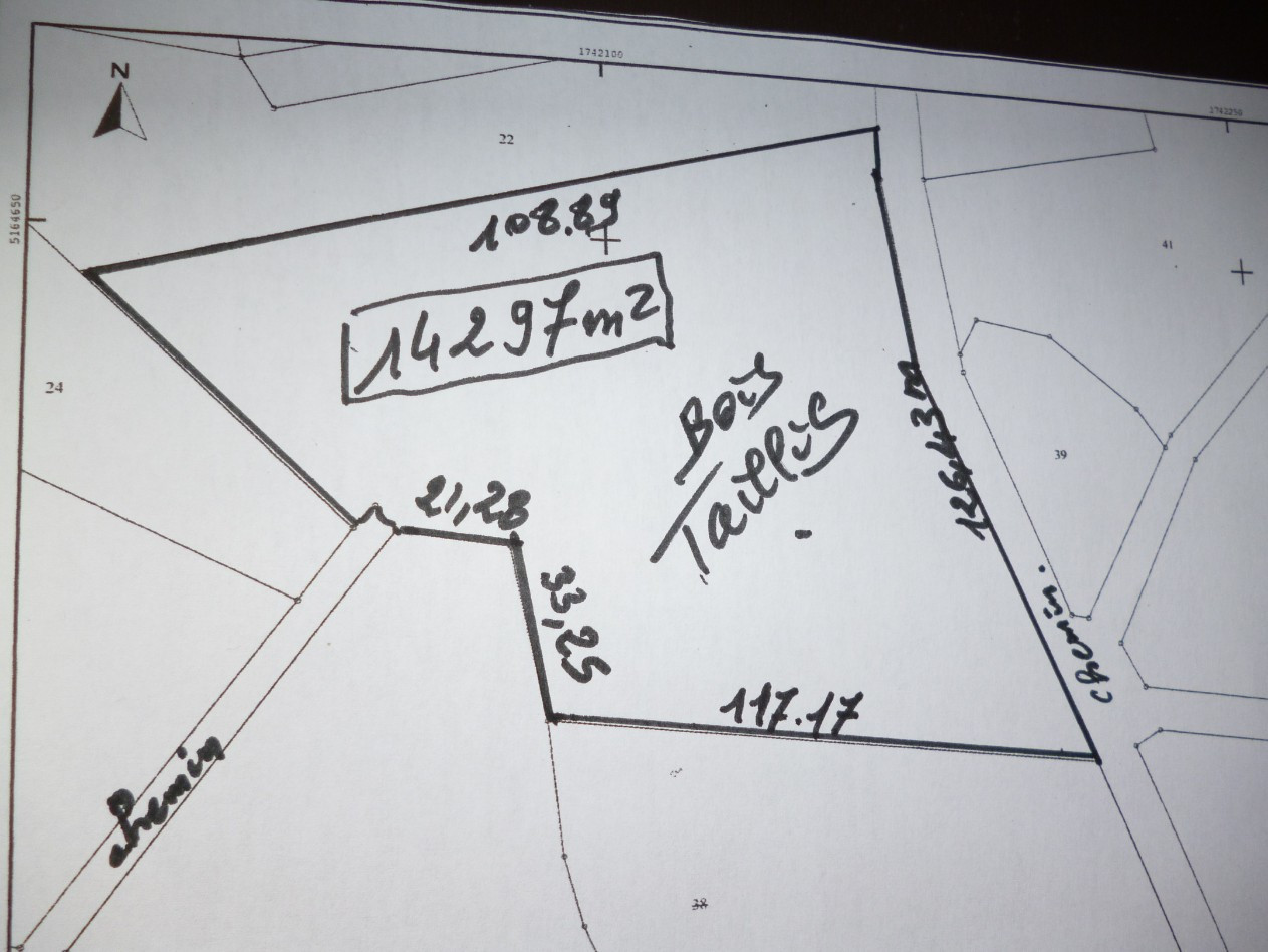 
                                                Vente
                                                 terrain (bois/taillis)