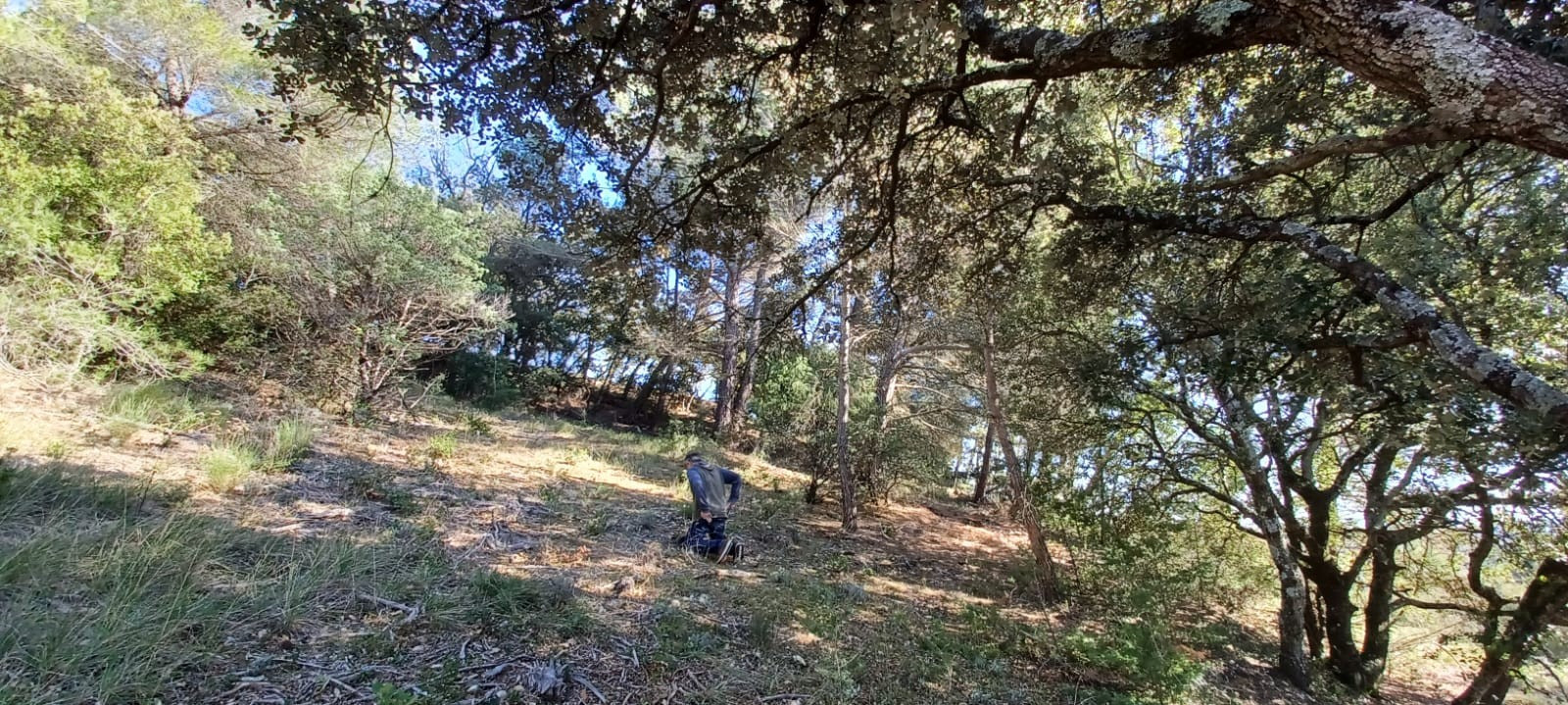 
                                                Vente
                                                 Terrain constructible 2610m2 Baudinard sur Verdon