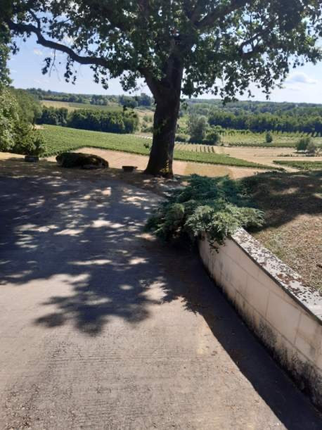 Vente
                                                 Bâtiments pour événementiel