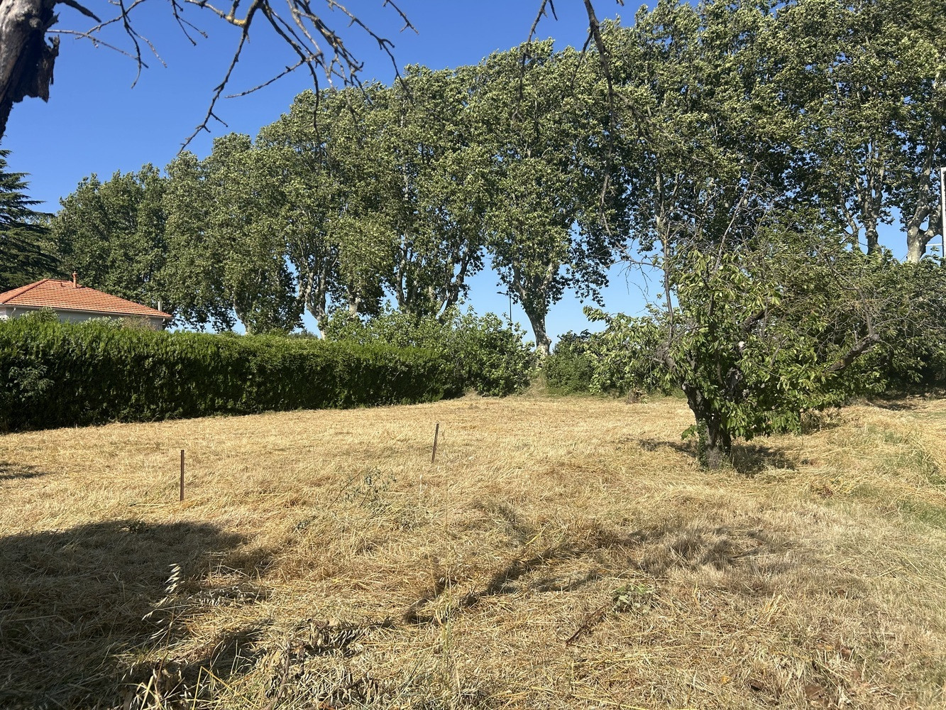 
                                                Vente
                                                 TERRAIN CONSTRUCTIBLE DE 689 M² à MALLEMORT