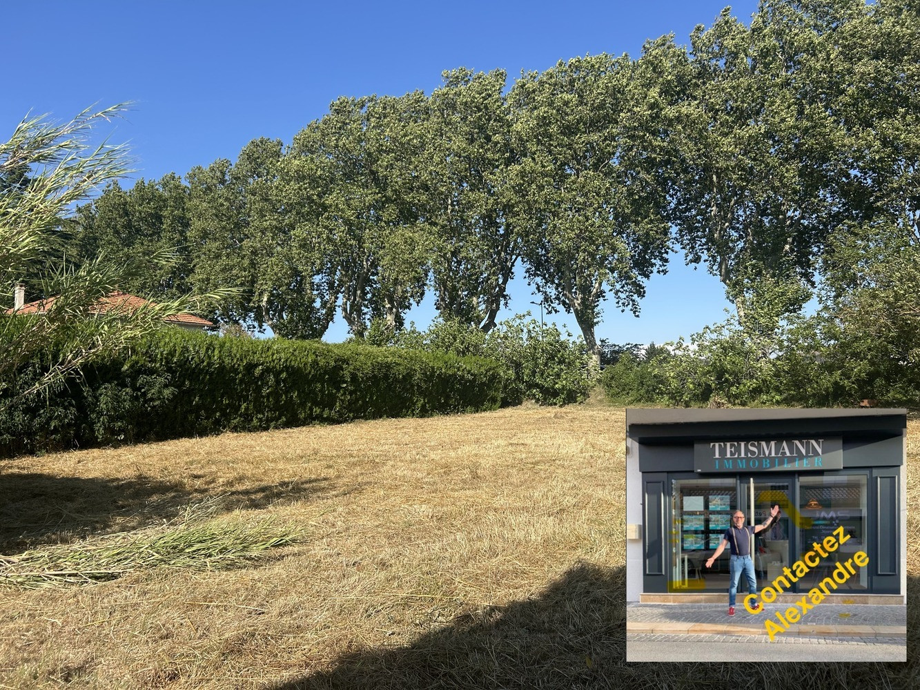 
                                                Vente
                                                 Terrain constructible de 707 m² sur MALLEMORT