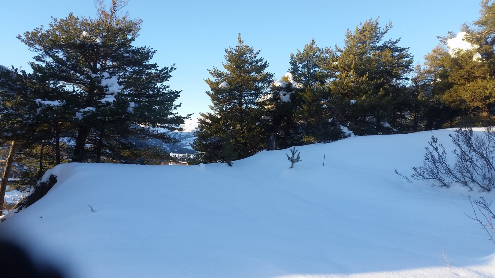 
                                                Vente
                                                 Terrain constructible emplacement nr.1 - Viabilisé