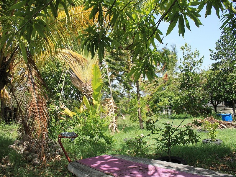 
                                                Vente
                                                 TERRAIN CONSTRUCTIBLE POUR PROMOTION 4 APPARTMTS