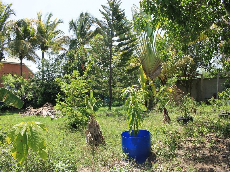 
                                                Vente
                                                 TERRAIN CONSTRUCTIBLE POUR PROMOTION 4 APPARTMTS