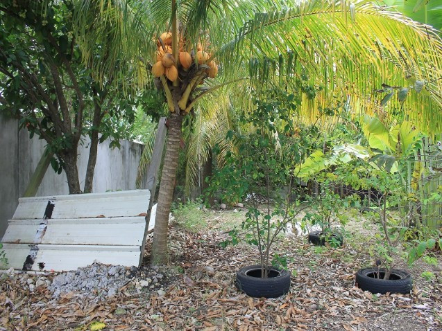 
                                                Vente
                                                 TERRAIN CONSTRUCTIBLE POUR PROMOTION 4 APPARTMTS