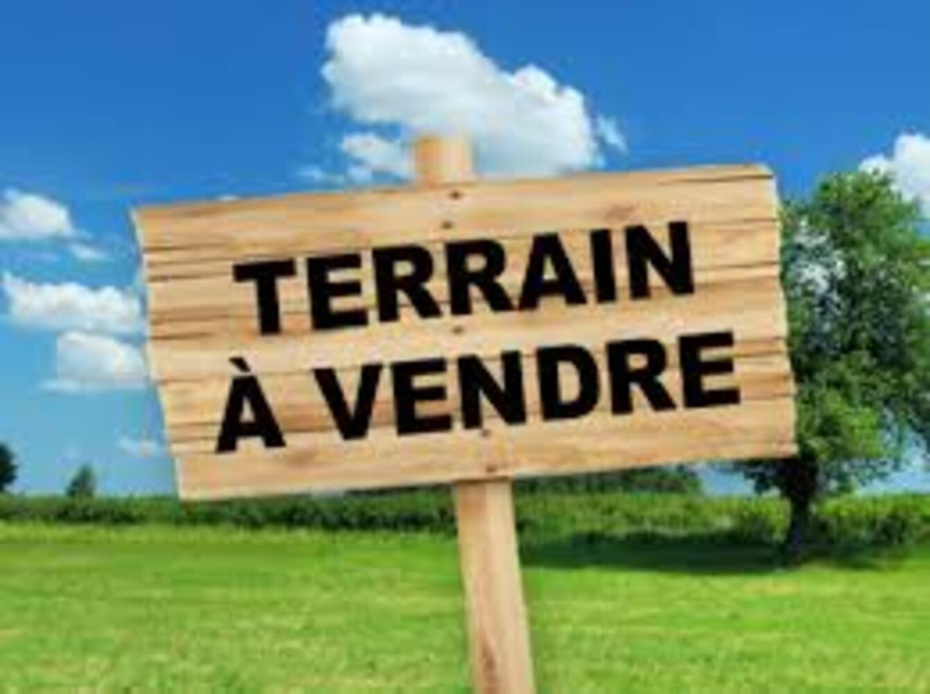 
                                                Vente
                                                 Terrain de 346m² à bâtir