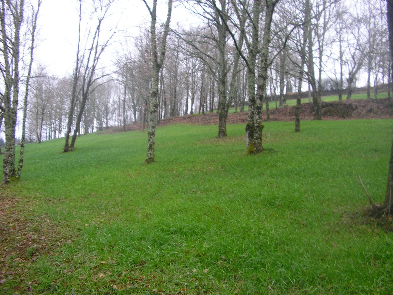 
                                                Vente
                                                 Terrain de loisir 15545m2