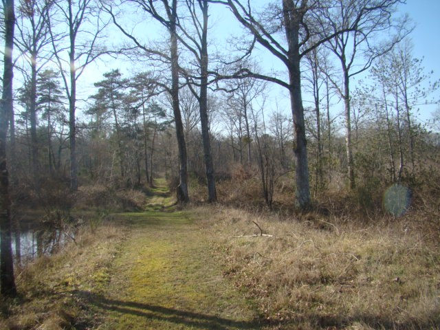 
                                                Vente
                                                 Terrain de loisirs - forêt - étangs