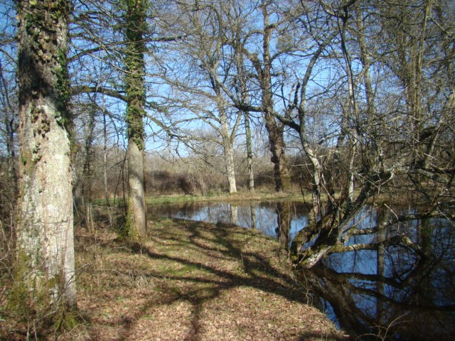 
                                                Vente
                                                 terrain de loisirs - forêt - étang - prairie