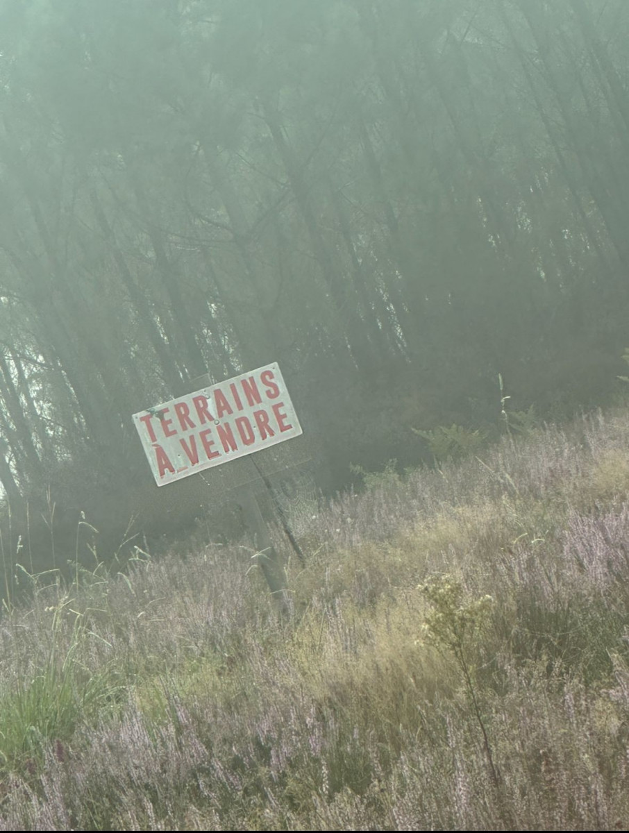 
                                                Vente
                                                 Terrain disponible