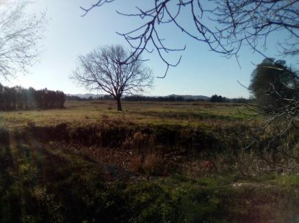 
                                                Vente
                                                 Terrain industriel  jusqu'à 43 000m²  à acquérir dans le Vaucluse - Zone d'activités des Hauts Banqu
