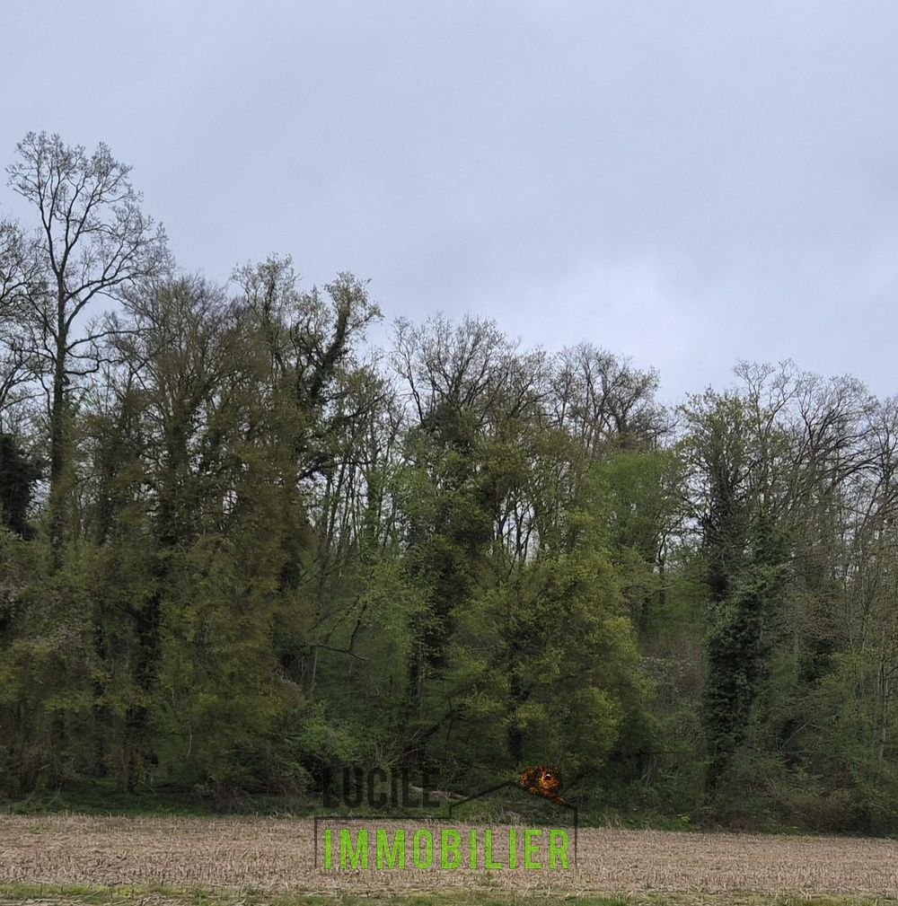 
                                                Vente
                                                 TERRAIN NATUREL