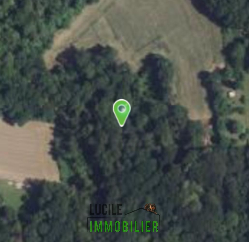 
                                                Vente
                                                 TERRAIN NATUREL