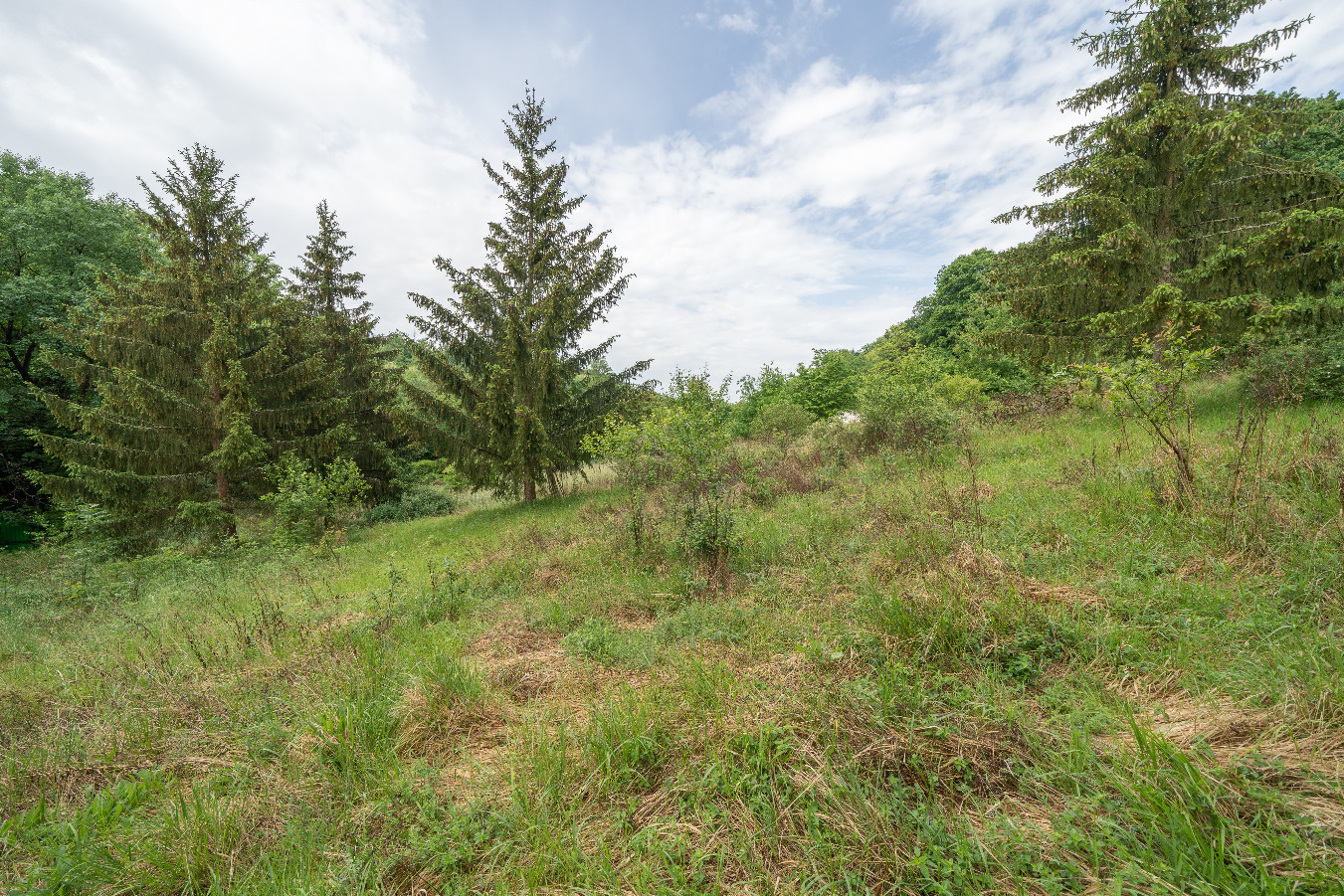 
                                                Vente
                                                 Terrain non constructible - 7 720 m² - Bar-le-Duc