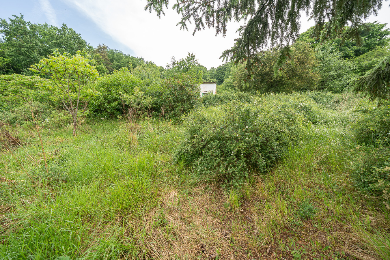 
                                                Vente
                                                 Terrain non constructible - 7 720 m² - Bar-le-Duc