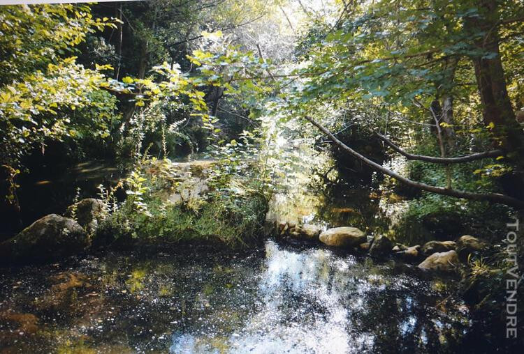 
                                                Vente
                                                 terrain riviere