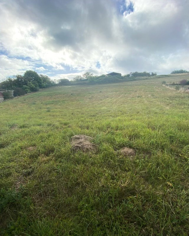 
                                                Vente
                                                 terrain viabilisé de 1094 m² à 15 min d'Auxerre