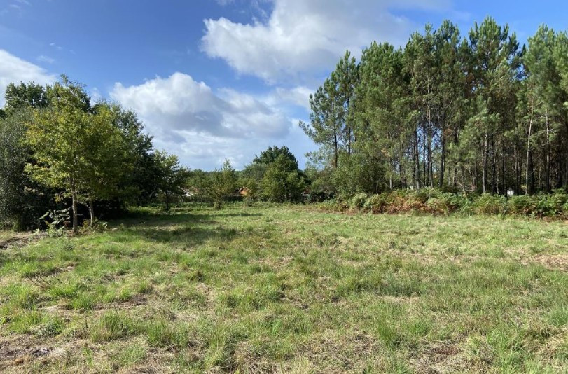 
                                                Vente
                                                 Terrains à Gastes (40)