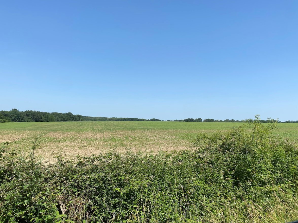 
                                                Vente
                                                 Terres agricoles (18 Cher)