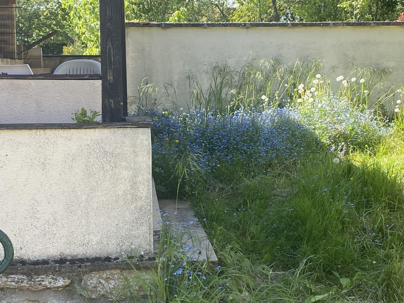 
                                                Location
                                                 Très beau studio spacieux et lumineux