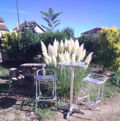 
                                                Location
                                                 Très beau T2 meublé plein sud avec jardin