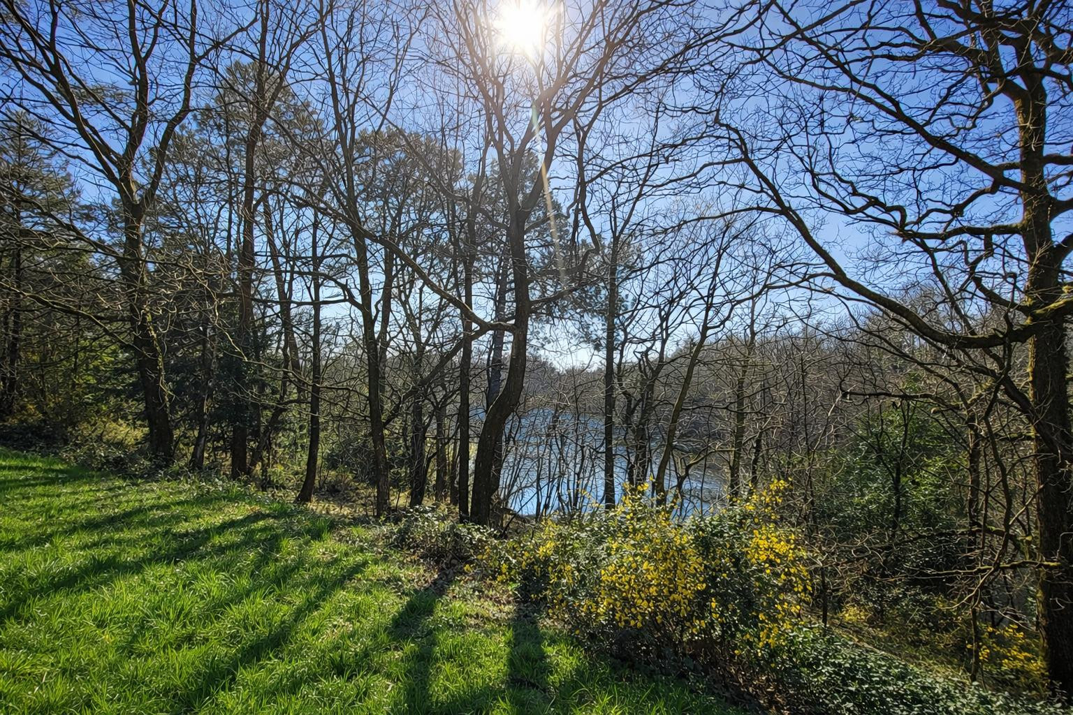 
                                                Location
                                                 Un refuge au vert avec terrasse & vue nature