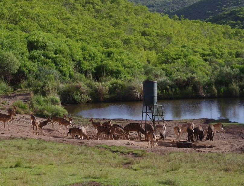 
                                                Vente
                                                 URUGUAY - LODGE CHASSE 1500 HA