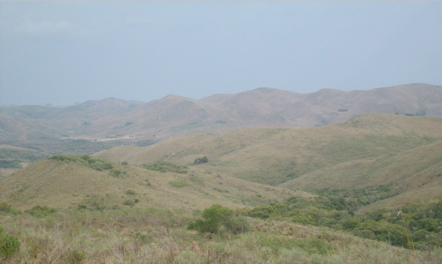 
                                                Vente
                                                 URUGUAY - LODGE CHASSE 1500 HA