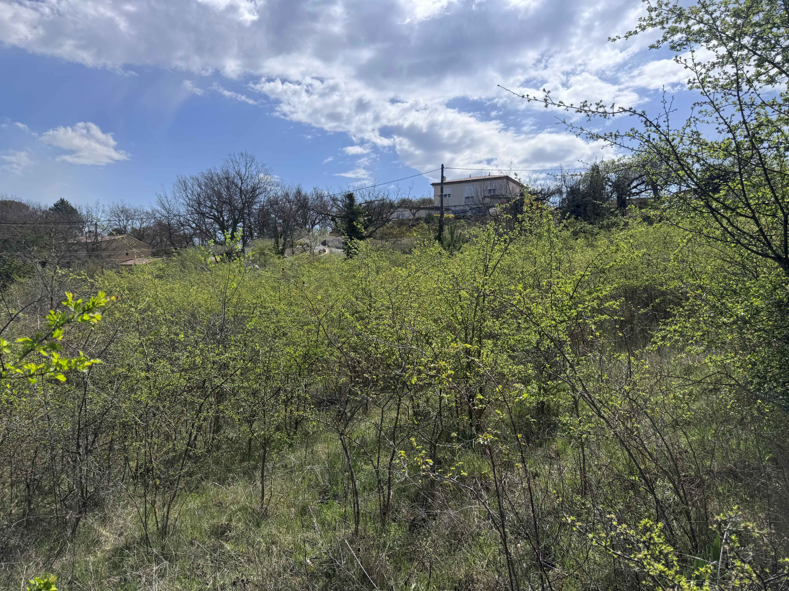 
                                                Vente
                                                 Valensole, terrain constructible de 3949 m2.