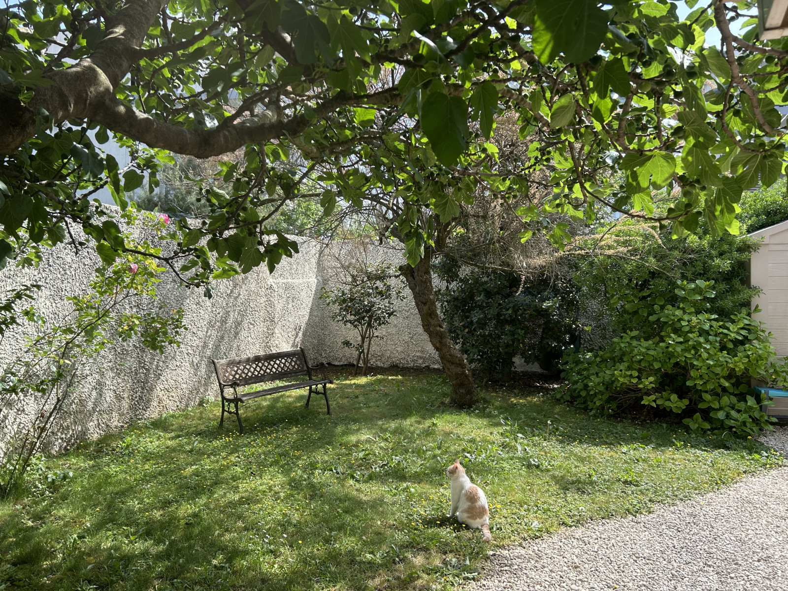 
                                                Vente
                                                 VÉNISSIEUX – MAISON COUP DE CŒUR EN IMPASSE, AU CALME ABSOLU