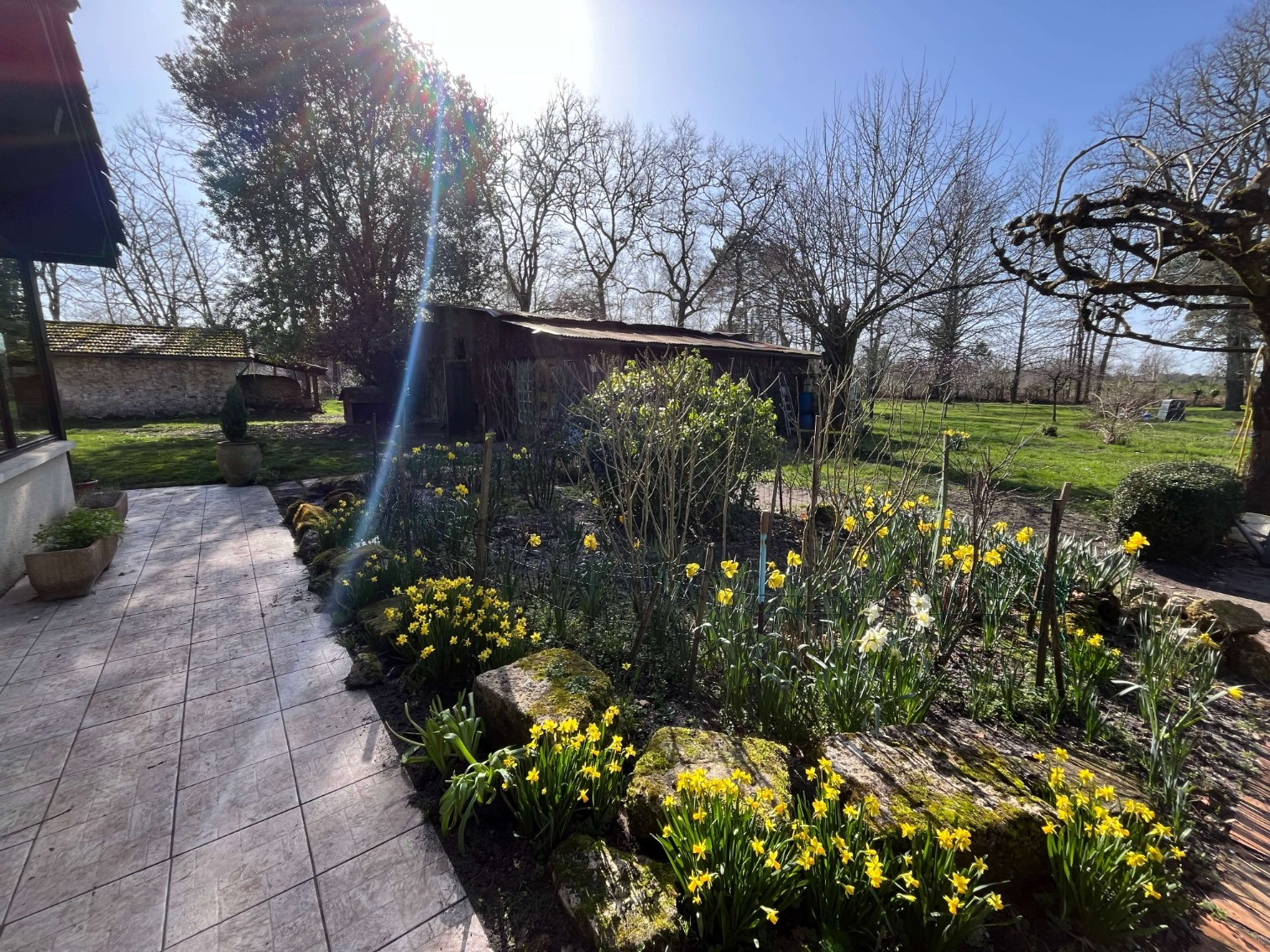 
                                                Viager
                                                 <viager occupé à Lerm et Musset