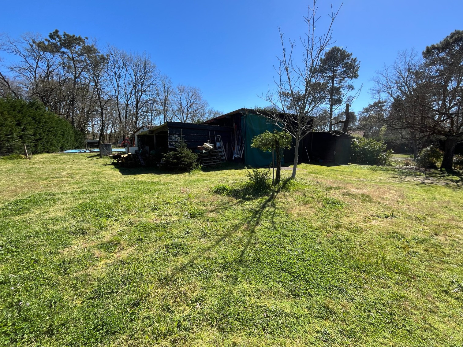 
                                                Viager
                                                 Viager Occupé à Losse