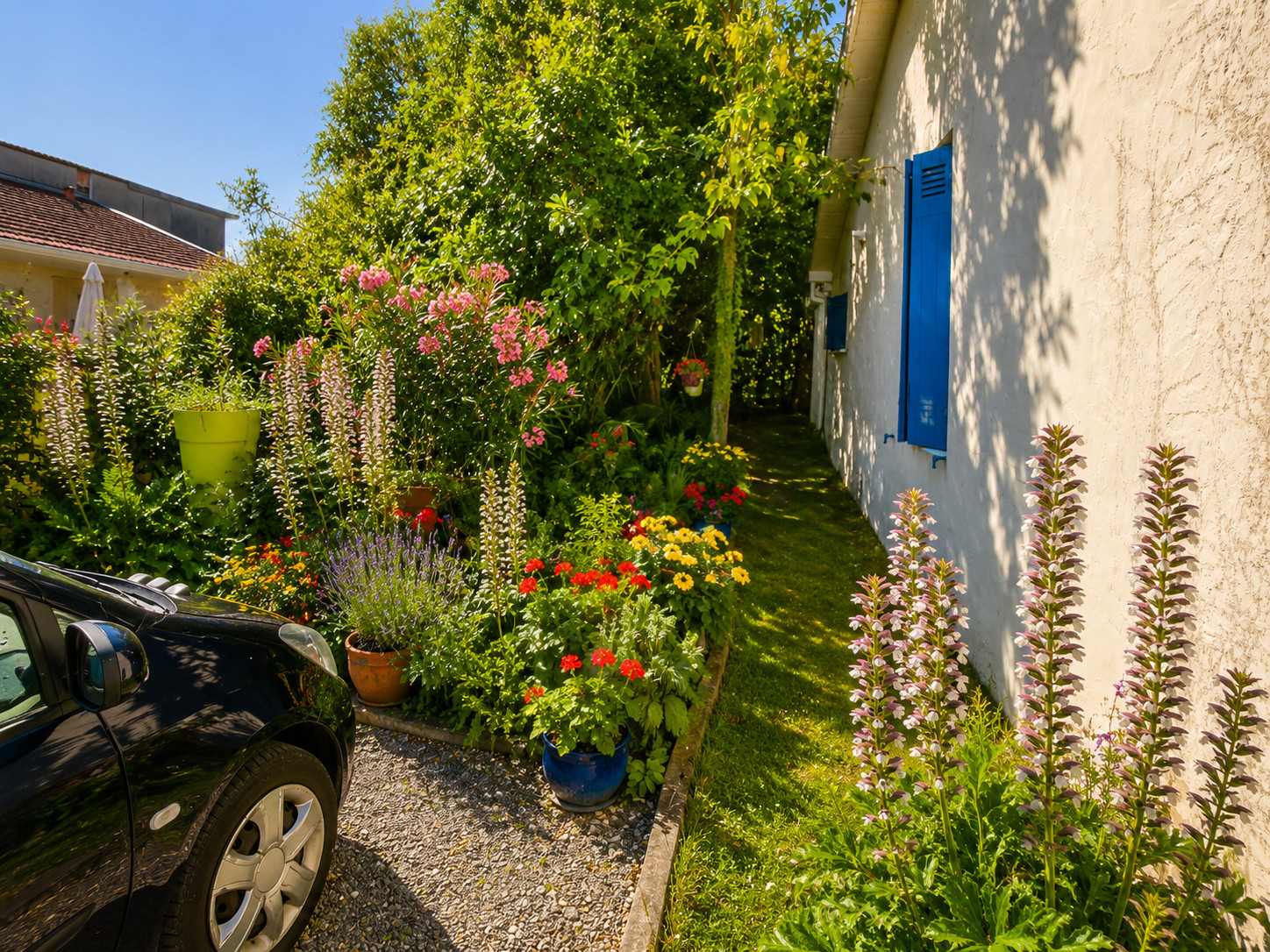 
                                                Viager
                                                 Viager occupé Maison à Talence