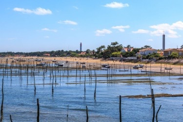 
                                                Vente
                                                 Villa d'architecte avec piscine au Cap Ferret