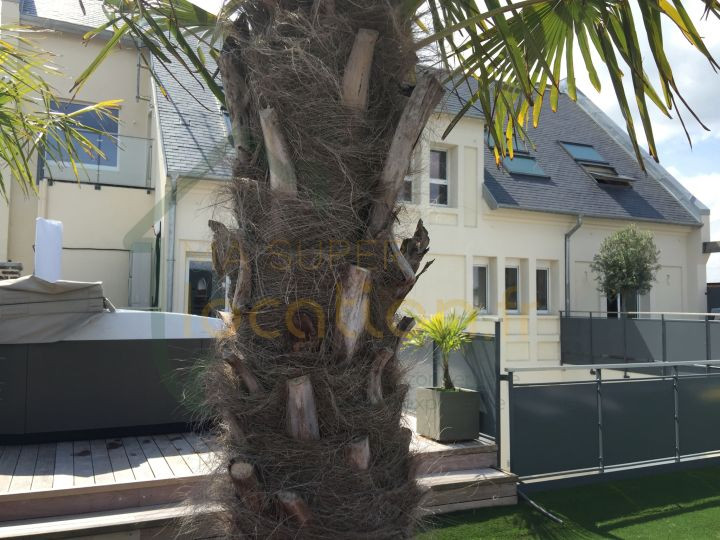 
                                                Vente
                                                 Villa exceptionnelle sur le toit d'un immeuble de standing.