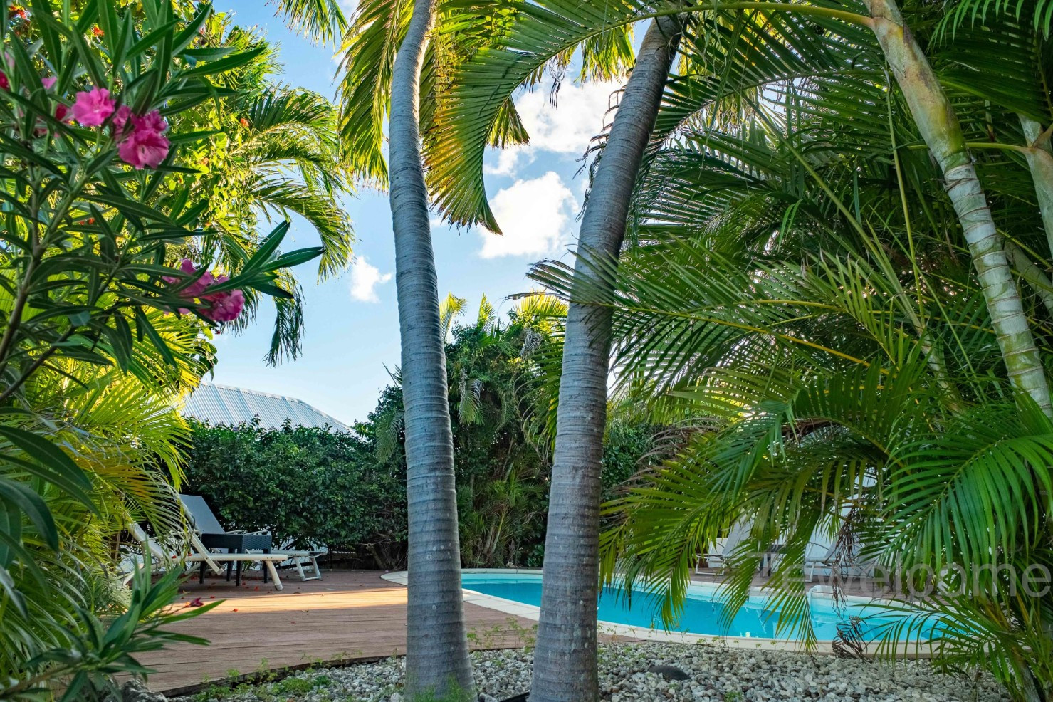 
                                                Location de vacances
                                                 ZeWelcome.com Villas en Guadeloupe en Loc@tion